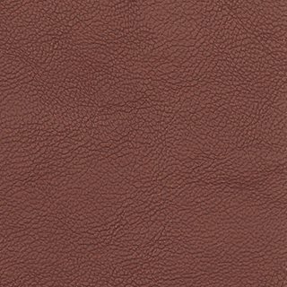 Buy gudgesickle-19-1431tcx LEATHER LIKE W/SUEDE BACK