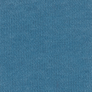 Buy blue-heaven-17-4023tcx SUPIMA RECYCLED COTTON FLEECE BRUSHED BACK