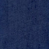 BLUE INDIGO 19-3928TCX